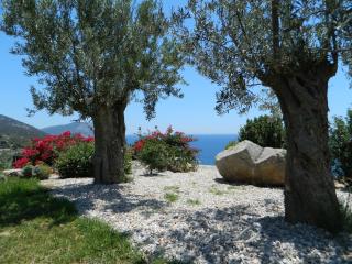 Villa Athena Ermioni - Ermioni - 3