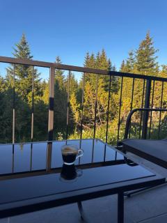 Pine Forrest Uskoci - 6