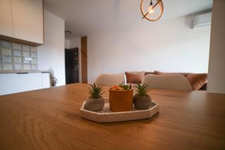 Apartmani S - Vrnjačka Banja - 2