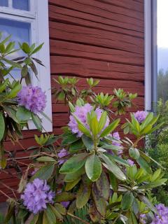 Traditional Swedish loghouse - Hagfors - 4