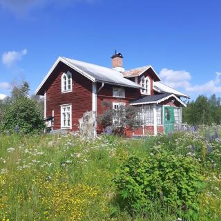 Traditional Swedish loghouse - Hagfors - 3