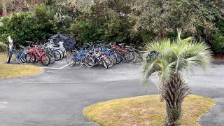 Sunny Daze - Hilton Head Island - 2