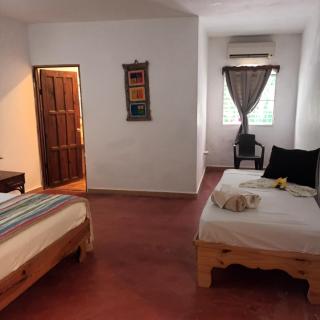 El jardín del coco - Las Galeras - 6