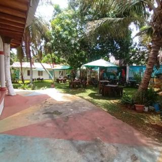 El jardín del coco - Las Galeras - 4
