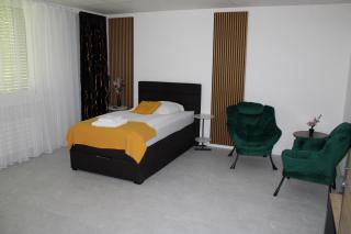 Résidence Appartment Gebenstorf - Gebenstorf - 9