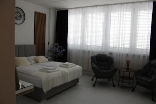 Résidence Appartment Gebenstorf - Gebenstorf - 5
