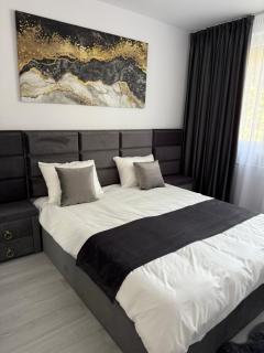 LuxuryResidence Apart - Oradea - 3