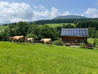 Ferienhaus in Mariahof - Mariahof - 5