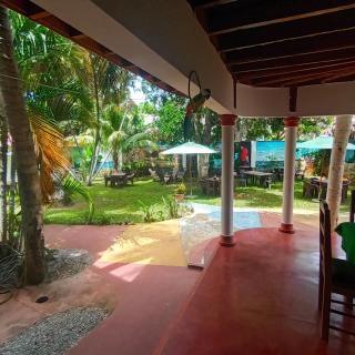 El jardín del coco - Las Galeras - 5