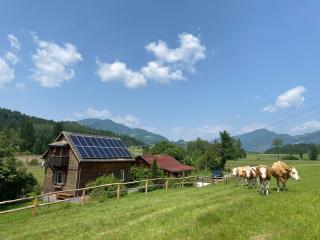 Ferienhaus in Mariahof - Mariahof - 1