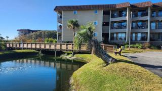 Sea Breeze Escape - Hilton Head Island - 7