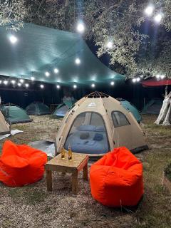 Ivy Sol Camping - Borsh - 5