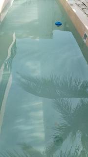 Villa Colibries Chelem - Chelem - 8