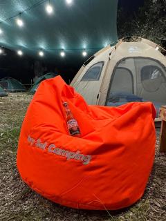 Ivy Sol Camping - Borsh - 6