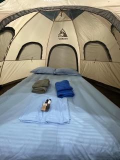 Ivy Sol Camping - Borsh - 9