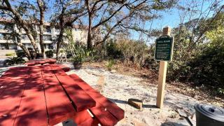 Dunes with Design - Hilton Head Island - 9