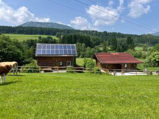 Ferienhaus in Mariahof - Mariahof - 8