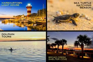 Beachfront Bliss* Resort on the beach Hilton Head - Hilton Head Island - 3