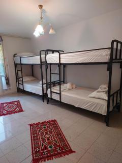 River Tirana Hostel - Tirana - 1