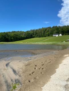 Herlig sommerhytte i Vestfold - - 0