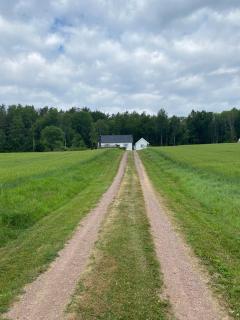 Herlig sommerhytte i Vestfold - - 1
