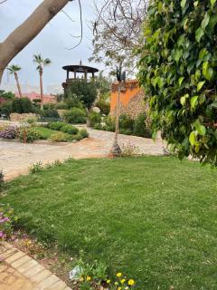 Delta sharm - Sharm El Sheikk - 9