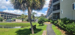 Turtles & Dolphins & Crabs, Oh My! - Hilton Head Island - 3
