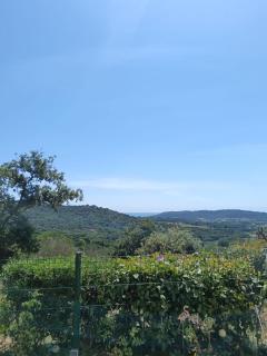 Ramatuelle Village - Panoramic Sea and Hill View, Private Garden & Serenity - Ramatuelle - 4