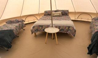 Bewley Glamping - Wambrook - 3