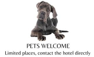 Smart Hotel Saslong - Santa Cristina in Val Gardena - 1