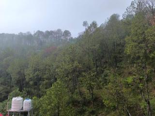 Ultimate Time Homestay, Stay & Party Point in Hills - Dagshai - 8