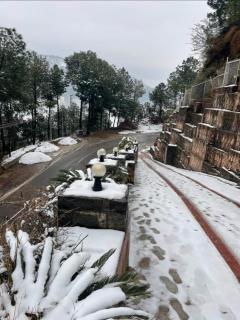 Ultimate Time Homestay, Stay & Party Point in Hills - Dagshai - 7