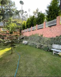 Ultimate Time Homestay, Stay & Party Point in Hills - Dagshai - 1