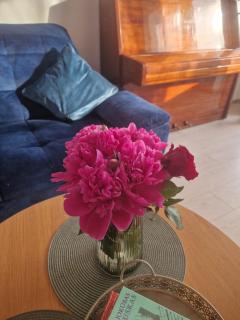 Pušų lašas apartamentai - Birštonas - 9