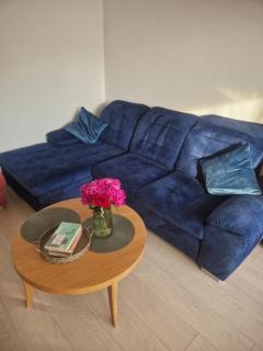 Pušų lašas apartamentai - Birštonas - 0