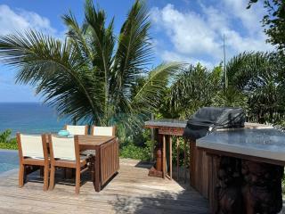 The Red Cloud Villa with Incredible Ocean View !!!! - Saint Barthelemy - 6