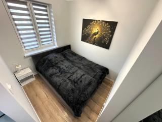 Apartament 51 - Płock - 7