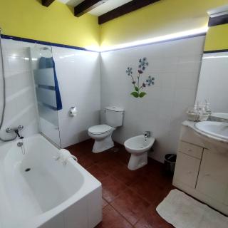 Apartamentos Caloca - 1