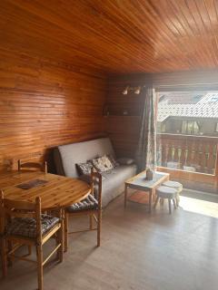 Cozy apartment - Arâches-la-Frasse - 0
