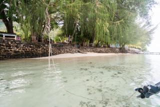 Fare Club Moorea - - 6