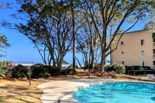 Beauty on The Sound - Hilton Head Island - 4