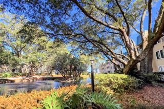 Beauty on The Sound - Hilton Head Island - 2