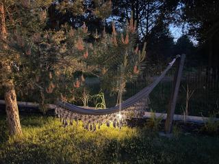 Pine House - Ostrowo - 1