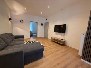 Le Goujons - New apartment near Midi Station - Bruxelles - 7