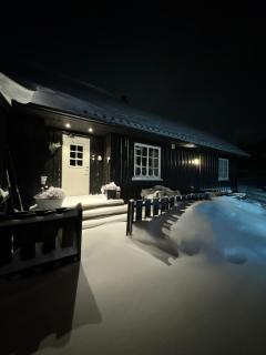 Sentralt Geilo - Hol - 0