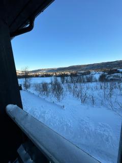 Sentralt Geilo - Hol - 6