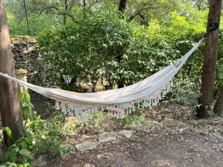 Loumaset-agréable petite maison-garrigues de Nîmes - 6