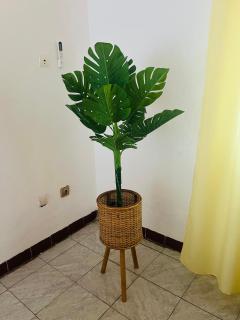 Mon havre - Yaoundé - 7