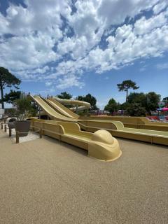 Parenthèse nature au Cap Ferret - 2