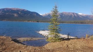 Tatogga Lake Resort - Iskut - 6